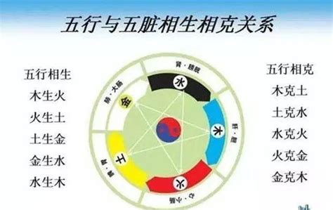 什么克金|五行相克